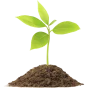 Biofertilizers